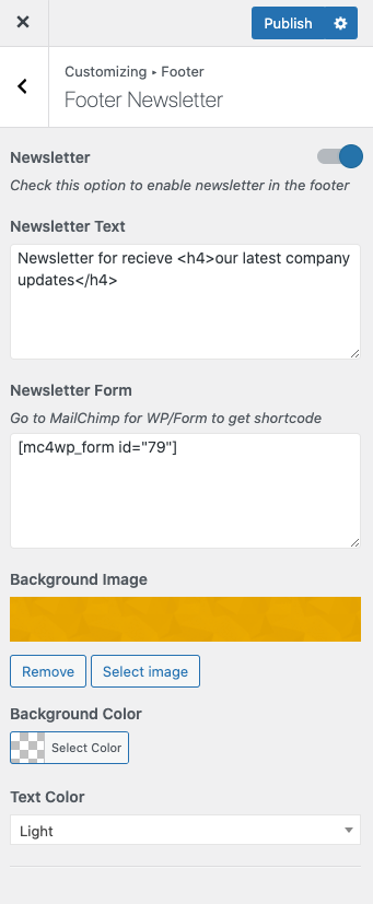 Customize Footer Newsletter
