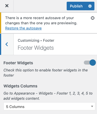 Customize Footer Widget