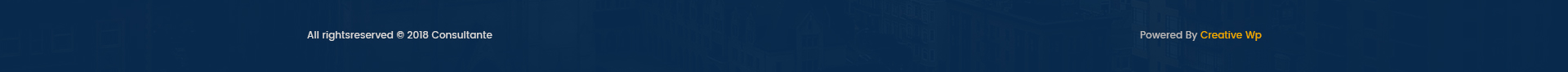 Footer Copyright