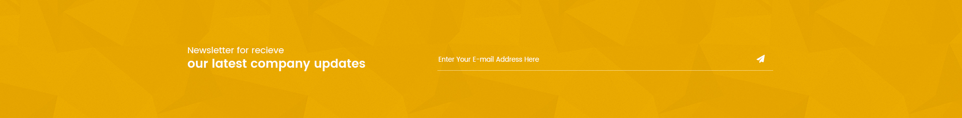 Footer Newsletter